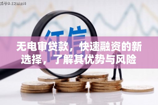 青田无电审贷款，快速融资的新选择，了解其优势与风险