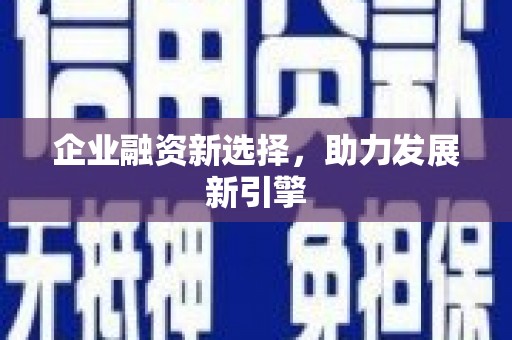 青田企业融资新选择，助力发展新引擎