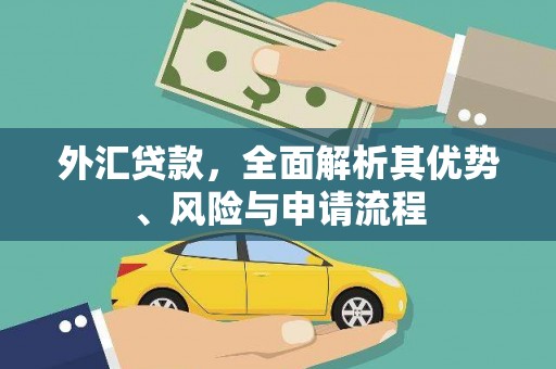 青田外汇贷款，全面解析其优势、风险与申请流程