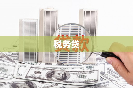 青田税务贷