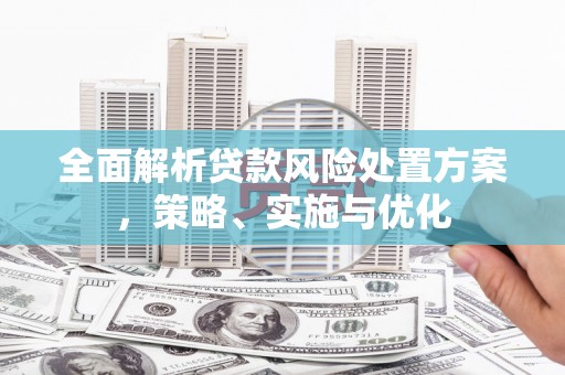 青田全面解析贷款风险处置方案，策略、实施与优化