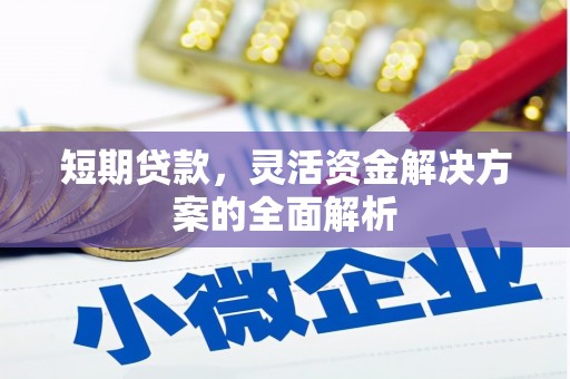 青田短期贷款，灵活资金解决方案的全面解析