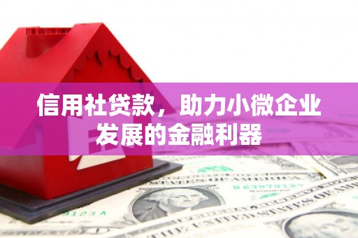 青田信用社贷款，助力小微企业发展的金融利器