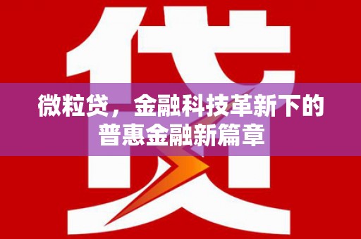 青田微粒贷，金融科技革新下的普惠金融新篇章