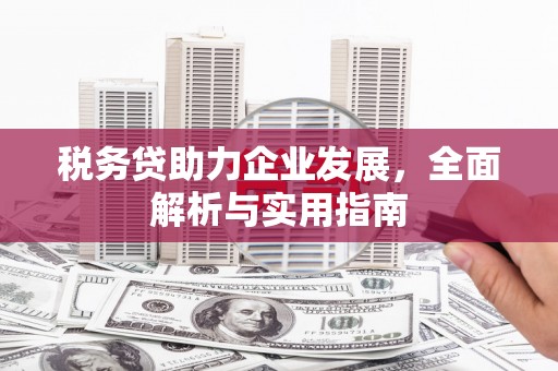 青田税务贷助力企业发展，全面解析与实用指南