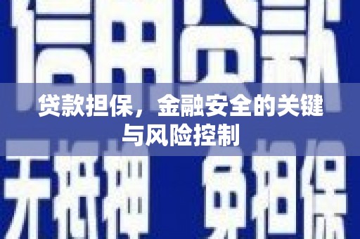 青田贷款担保，金融安全的关键与风险控制