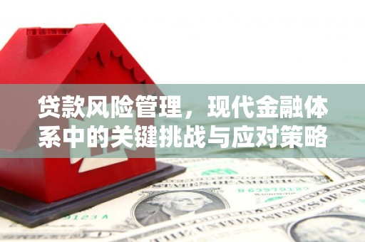 青田贷款风险管理，现代金融体系中的关键挑战与应对策略