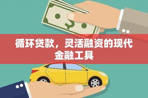 青田循环贷款，灵活融资的现代金融工具