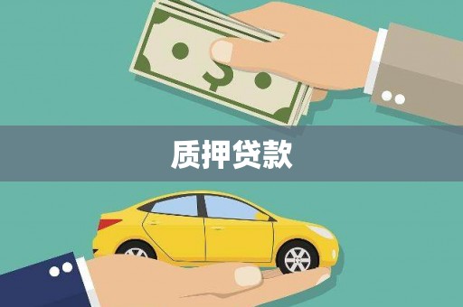 青田质押贷款