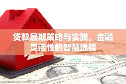 青田贷款展期策略与实践，金融灵活性的智慧选择