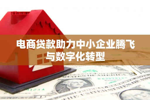 青田电商贷款助力中小企业腾飞与数字化转型