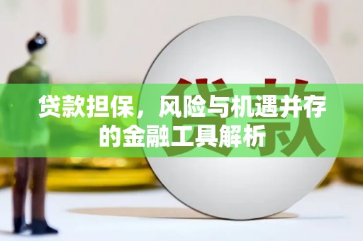 青田贷款担保，风险与机遇并存的金融工具解析
