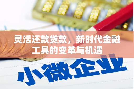 青田灵活还款贷款，新时代金融工具的变革与机遇