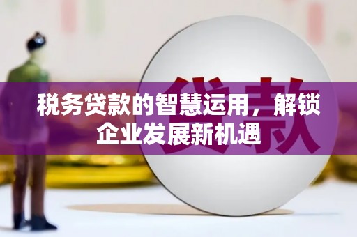 青田税务贷款的智慧运用，解锁企业发展新机遇